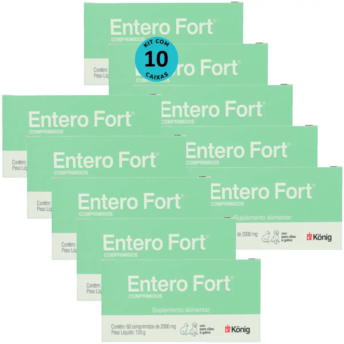 Entero Fort 2000mg Com 60 Comprimidos Para Cães e Gatos Kit Com 10