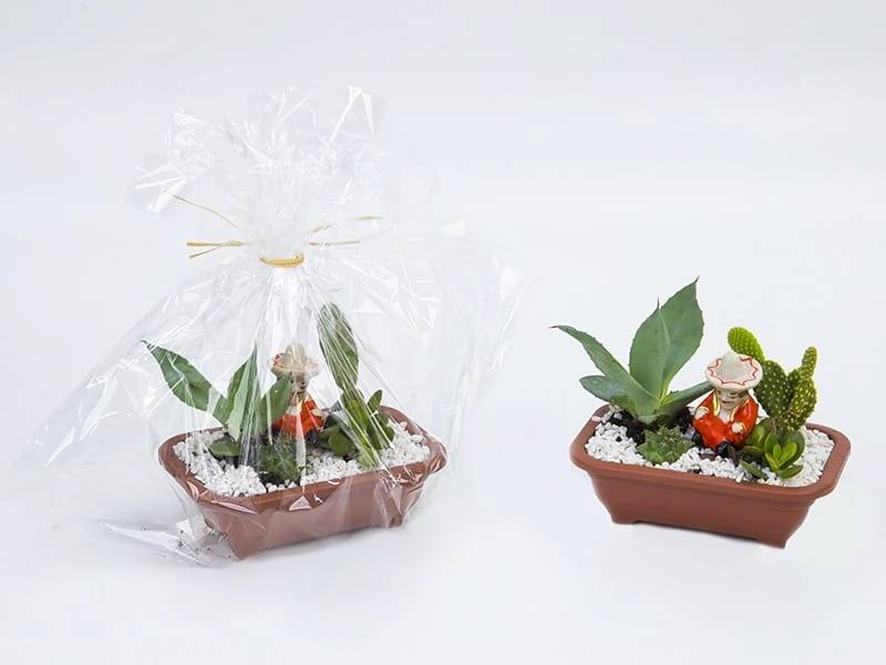 Flor Pimenta Ornamental Pt 06