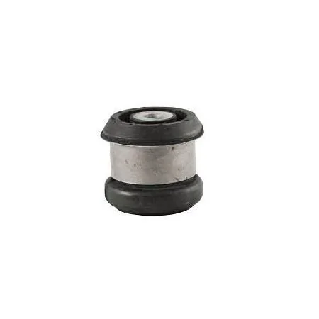 Bucha Traseira do Quadro do Motor Ambos os Lados - AXIOS BR15151101877