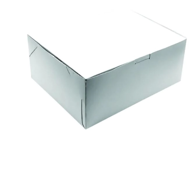 Caixa Surpresa Branco 24x19x10cm Emporio
