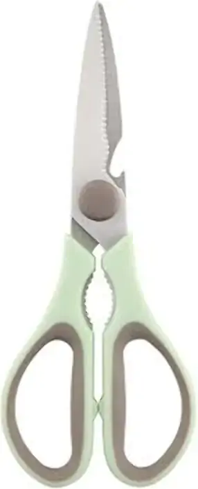Tesoura Multiuso Para Cozinha Em Aco Inox L23xp8,5xa1cm Cor Verde Claro