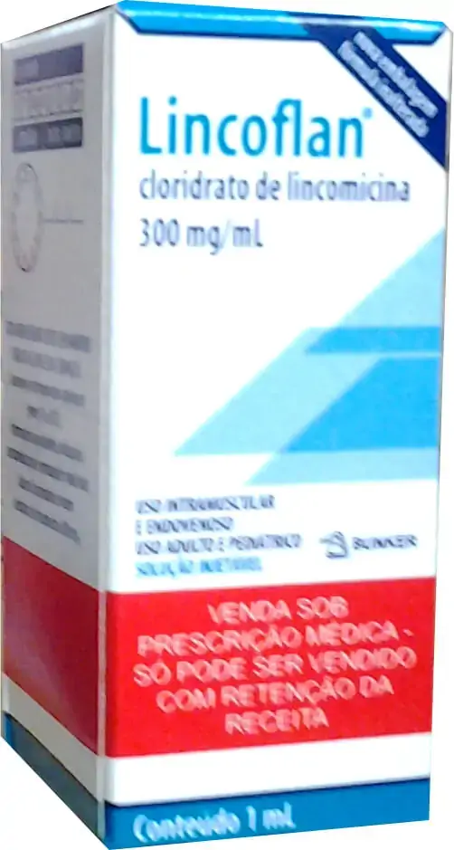 Lincoflan 300 Mg/ml Ampola 1 Ml Bunker Similar
