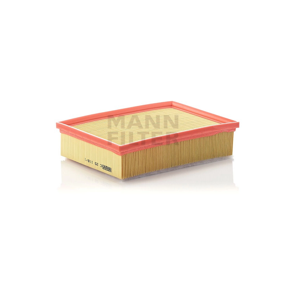 Filtro Ar C25118/1 Mann