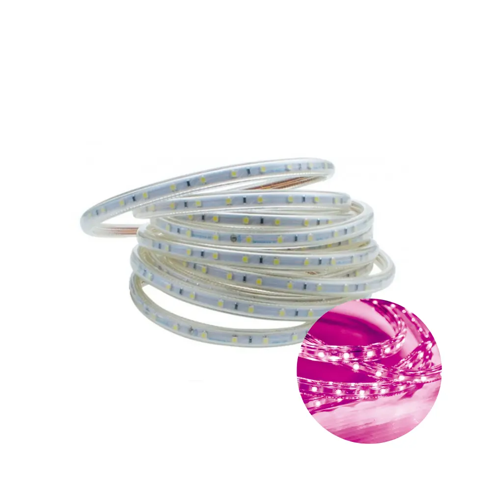 Kit 5 Metros Fita Led Taschibra 5w/m Ip67 Alta Proteção Cores Rosa 220v