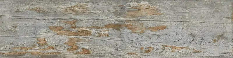 Porcelanato Grey Matte/lux Natural Bold Ceusa 30cm X 120cm 4 Unidades
