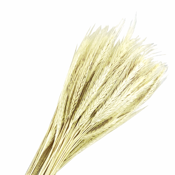 Desidratado Trigo Alvejado Maco C/ 120 Hastes Natural