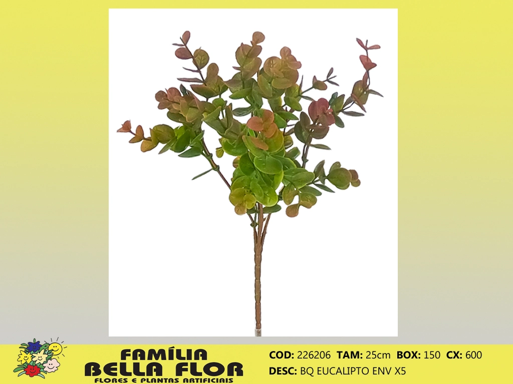 Buque Eucalipto X5 226206 Bella Flor