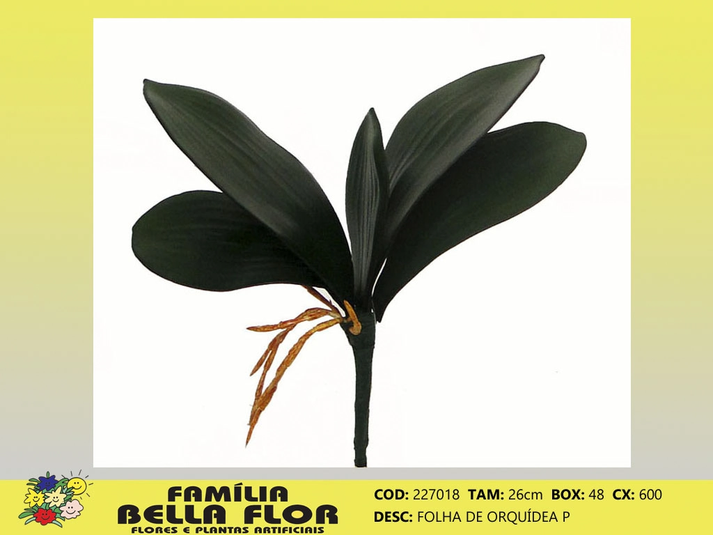 Folha Orquidea P 227018 Bella Flor