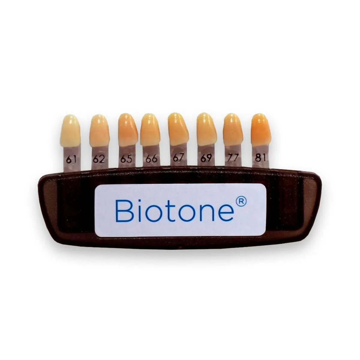 Escala de Cores Biotone 8 Cores - Dentsply Sirona