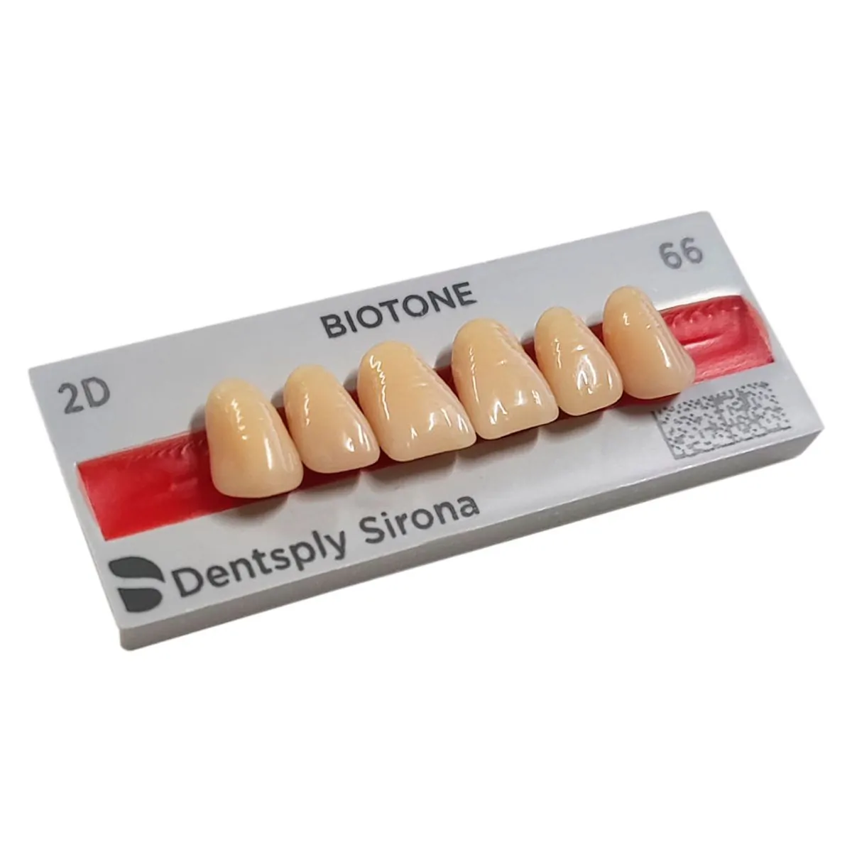 Dente Biotone Anterior Superior - Dentsply Sirona - Dente Biotone 2D SUP 66 - Dentsply Sirona