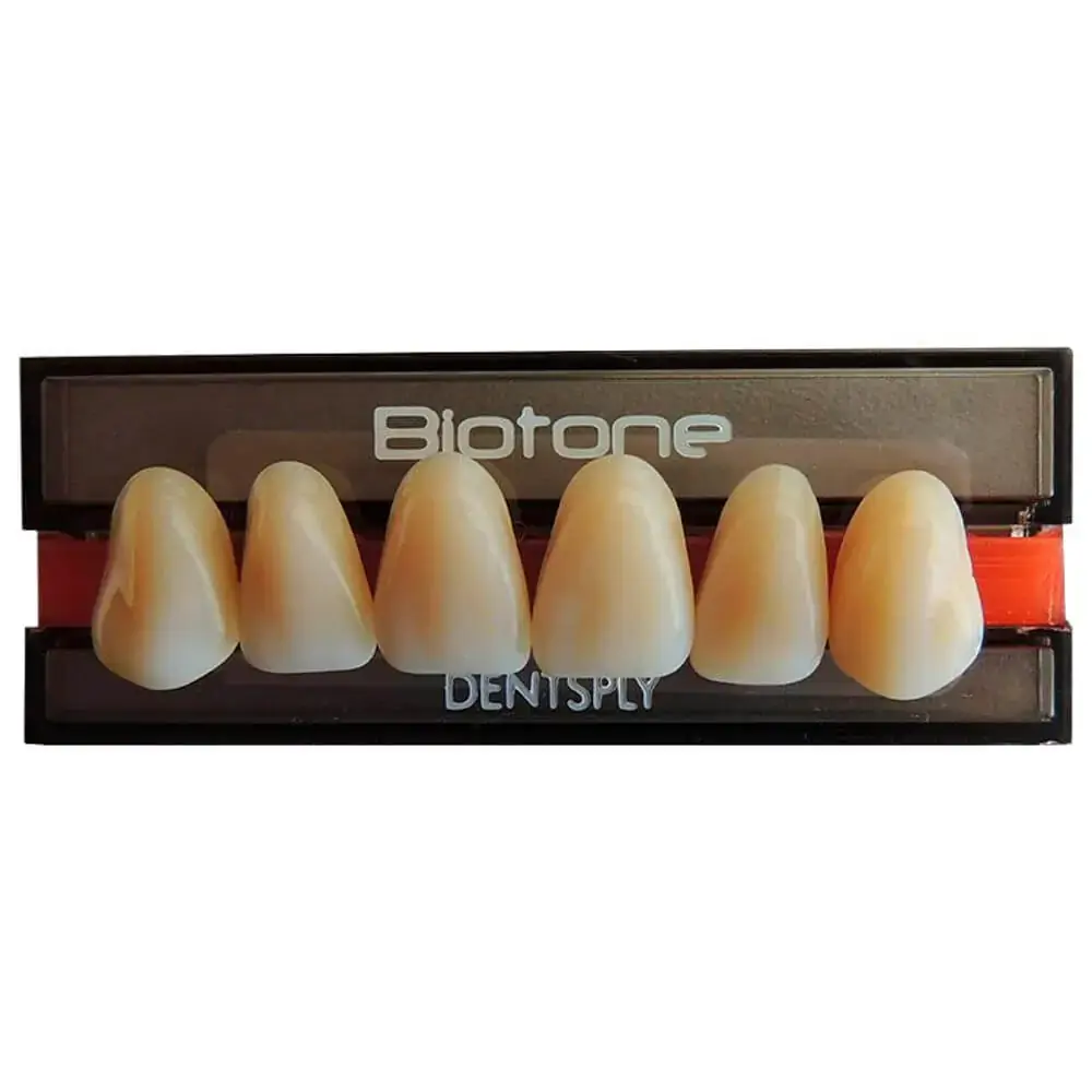 Dente Biotone Anterio Superior - Dentsply - 3d Cor 69 (Cód. 25.0455)