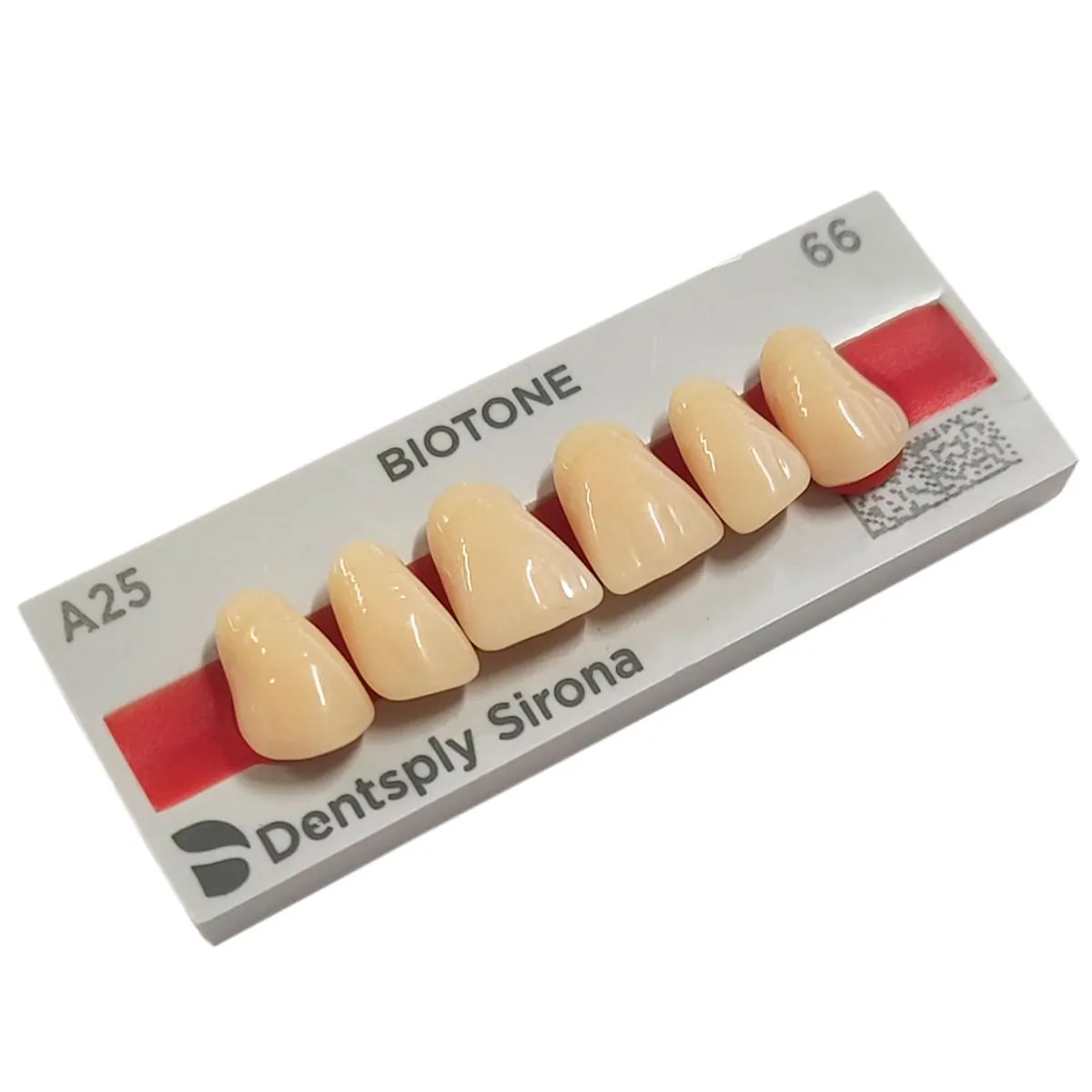 Dente Biotone Anterior Superior - Dentsply Sirona - Dente Biotone A25 SUP 66 - Dentsply Sirona