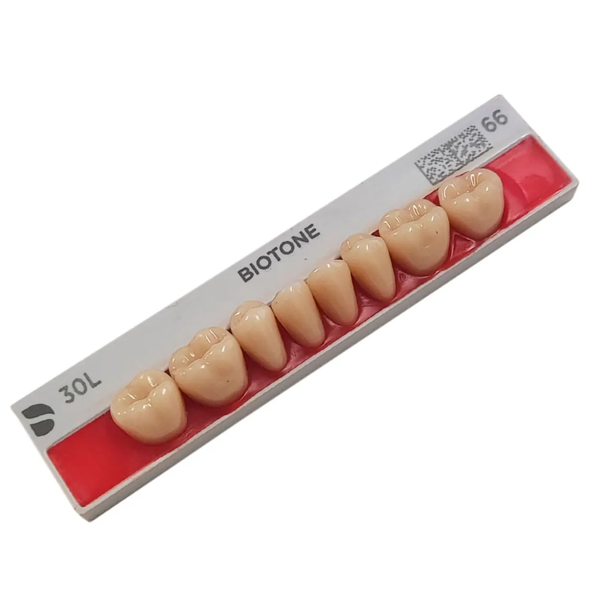 Dente Biotone Posterior Superior - Dentsply Sirona - Dente Biotone 30L SUP 66 - Dentsply Sirona