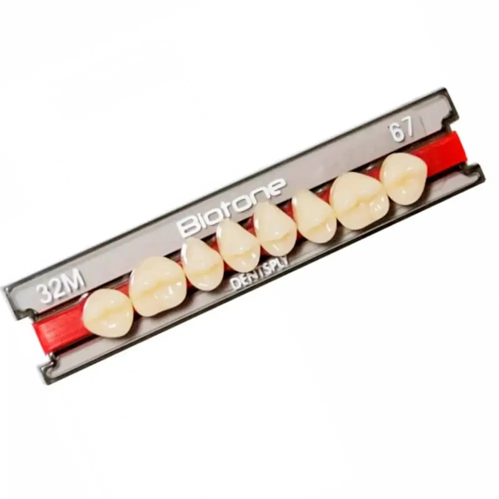 Dente Biotone Posterior Superior - Dentsply - 34l Cor 69 (Cód. 25.0411)