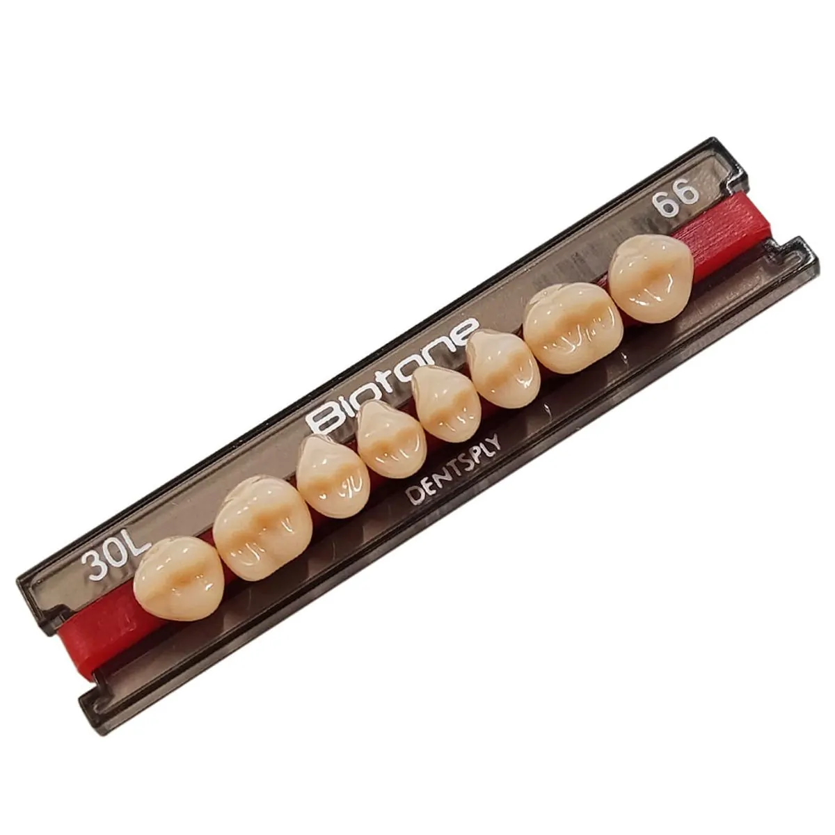 Dente Biotone Posterior Inferior - Dentsply Sirona - Dente Biotone 30L INF 66 - Dentsply Sirona