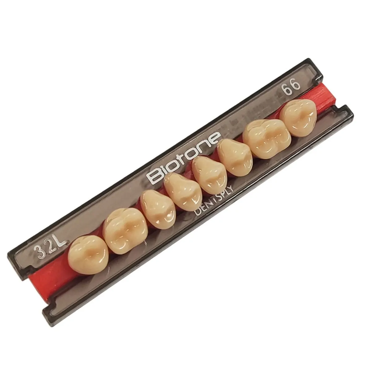 Dente Biotone Posterior Inferior - Dentsply Sirona - Dente Biotone 32L INF 66 - Dentsply Sirona