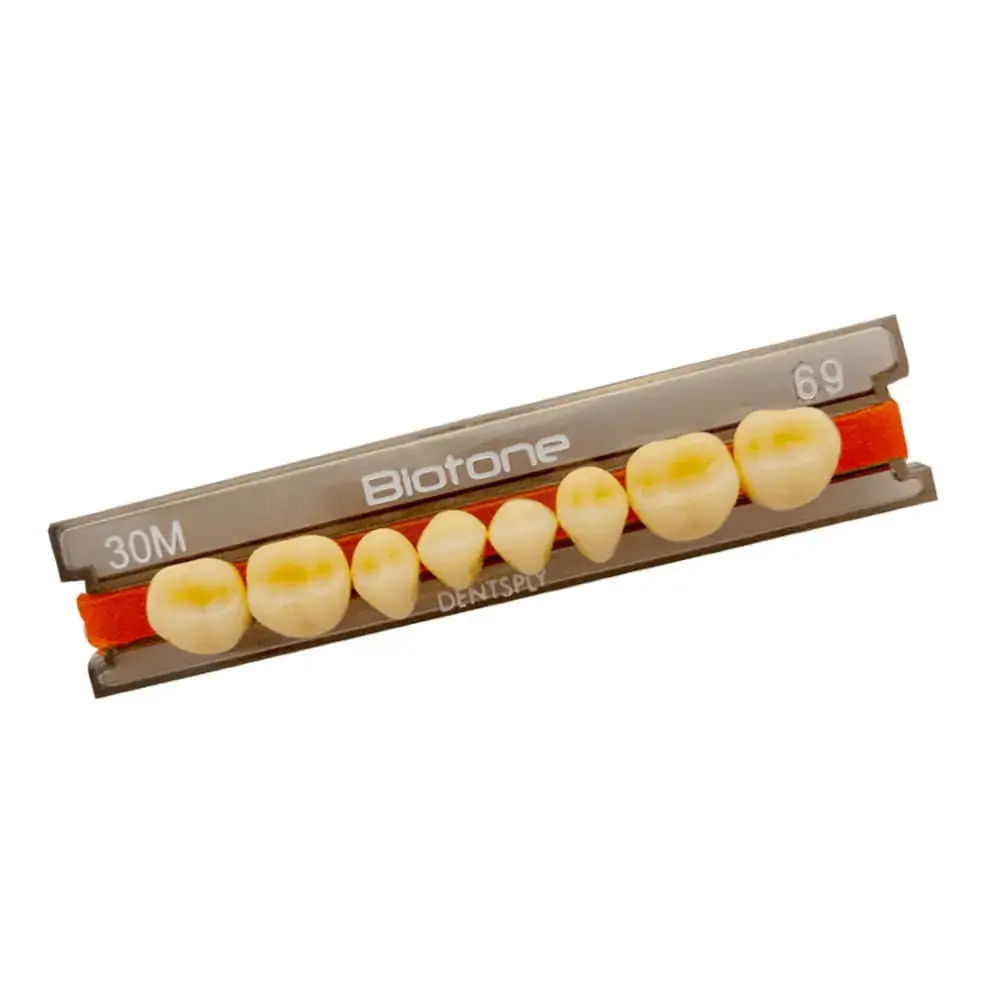 Dente Biotone Posterior Inferior - Dentsply - 32l Cor 69 (Cód. 25.0425)