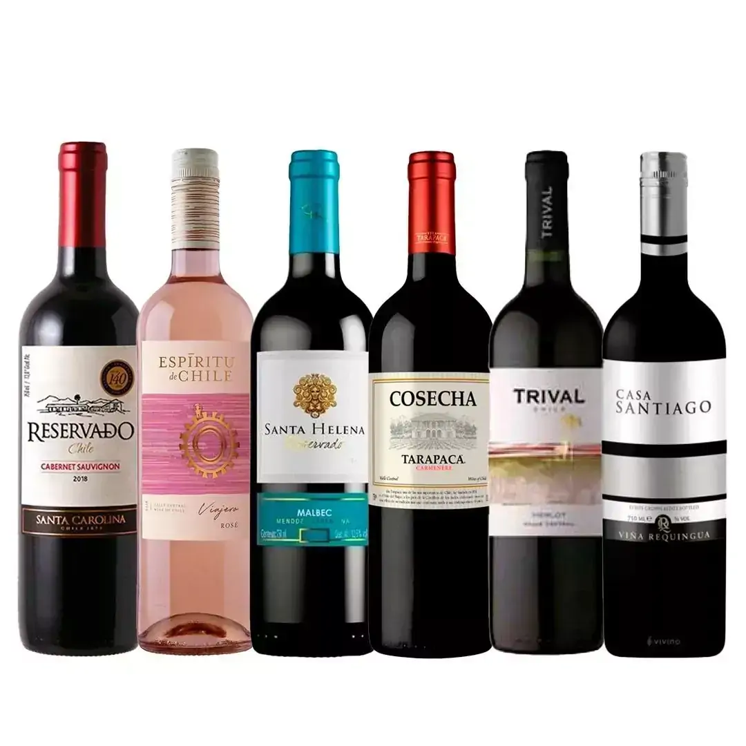 KIT VINHOS ADEGA CHEIA 06 UNIDADES