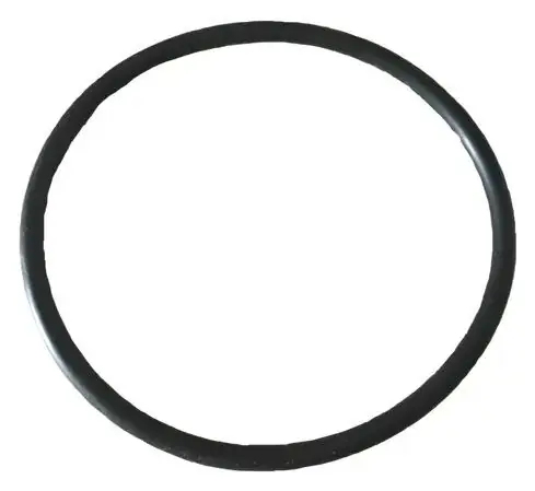 Anel Oring Da Tampa Do Pre-filtro P/ Bomba Modelo A Jacuzzi Ja47035100