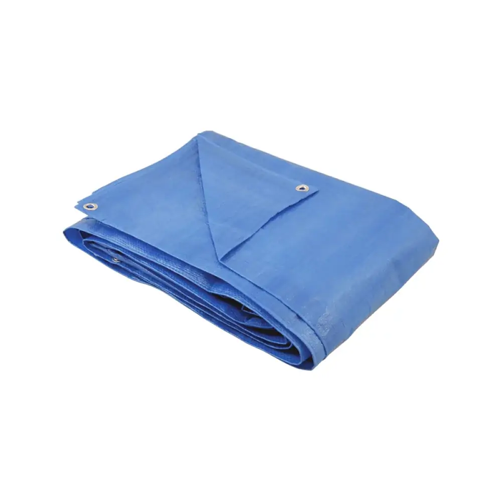 Lona Polietileno Azul3x2m 61.69.032.000 954