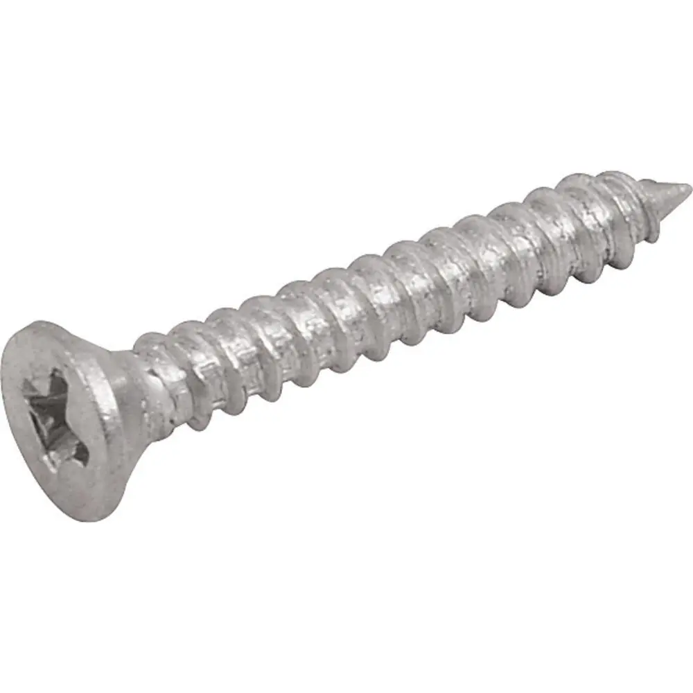 Parafuso Tarraxante Inox 2,9x19,0mm Phillips 10 Pçs Vonder