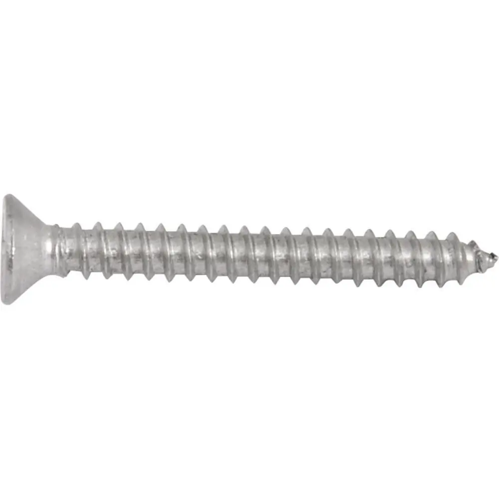 Parafuso Tarraxante Inox 3,9x32,0mm Phillips 10 Pçs Vonder
