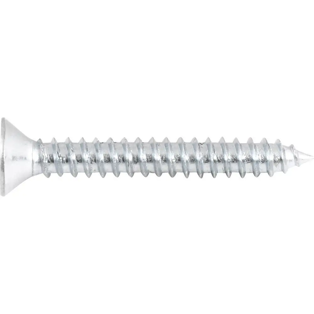 Parafuso Autoatarraxante 4,2x32,0mm Phillips 10 Peças Vonder