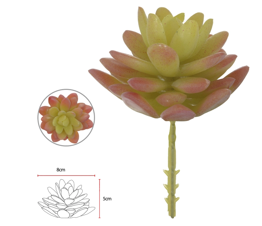 F Suculenta8,5cm 35030 Flor Arte