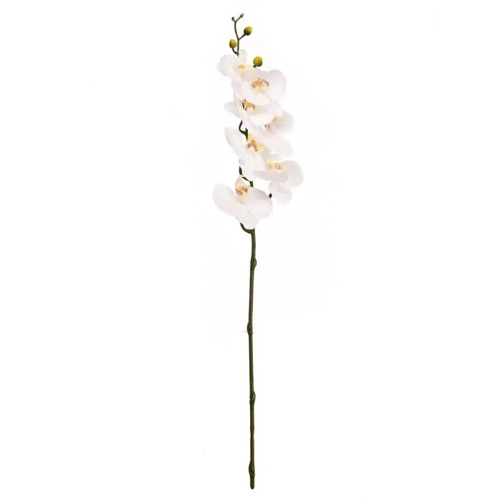 H Orquidea Phalaenopsis Real Toque Com Coat X Cod8001