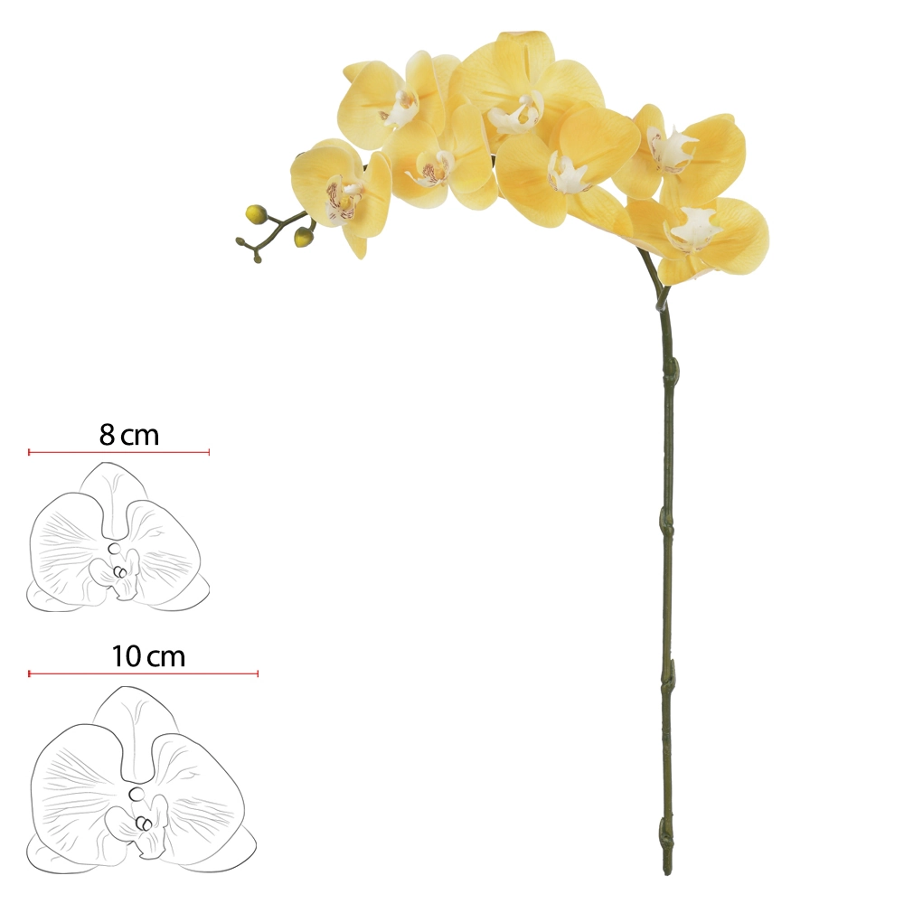 Haste Orquidea Phalaenopsiscoat X7 Am 73cm 35628002