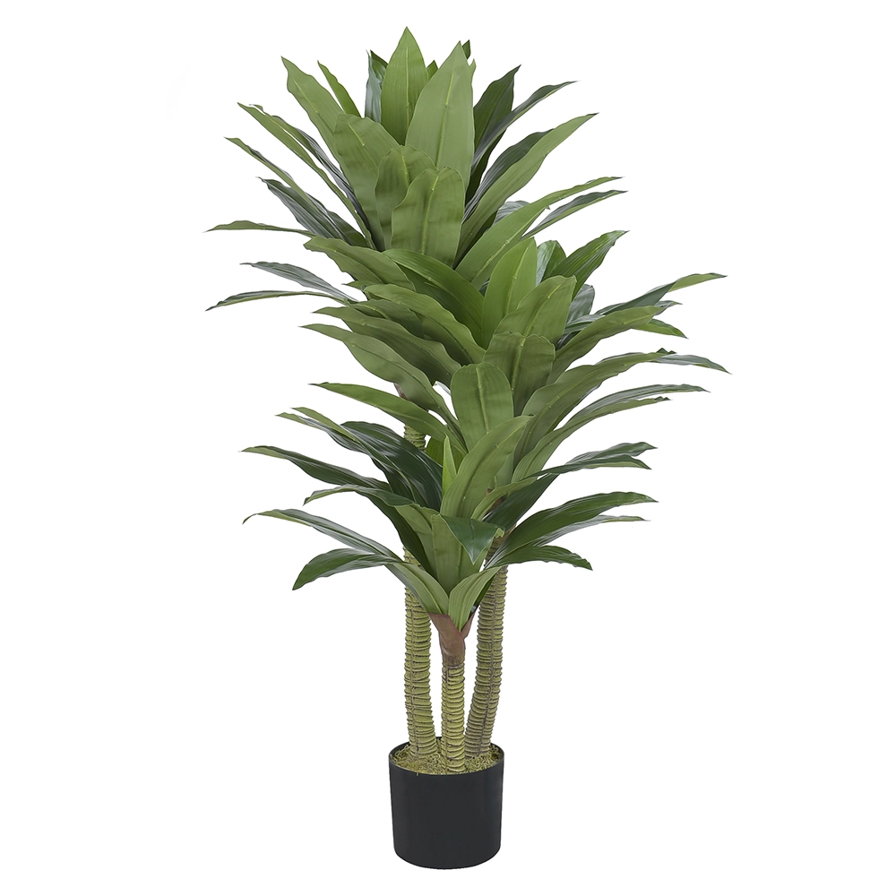 A Dracena Real Toque C Pote X72 1.15m 36532001 Fa