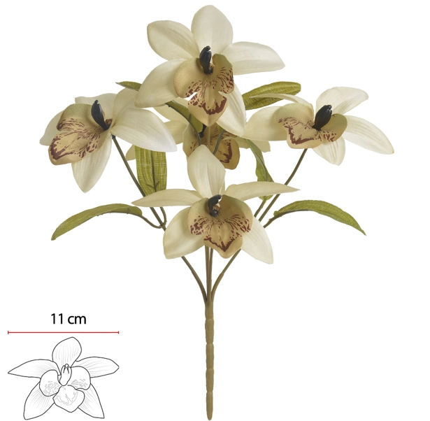 B Orquidea Dendrobium X5 Creme Outono 32