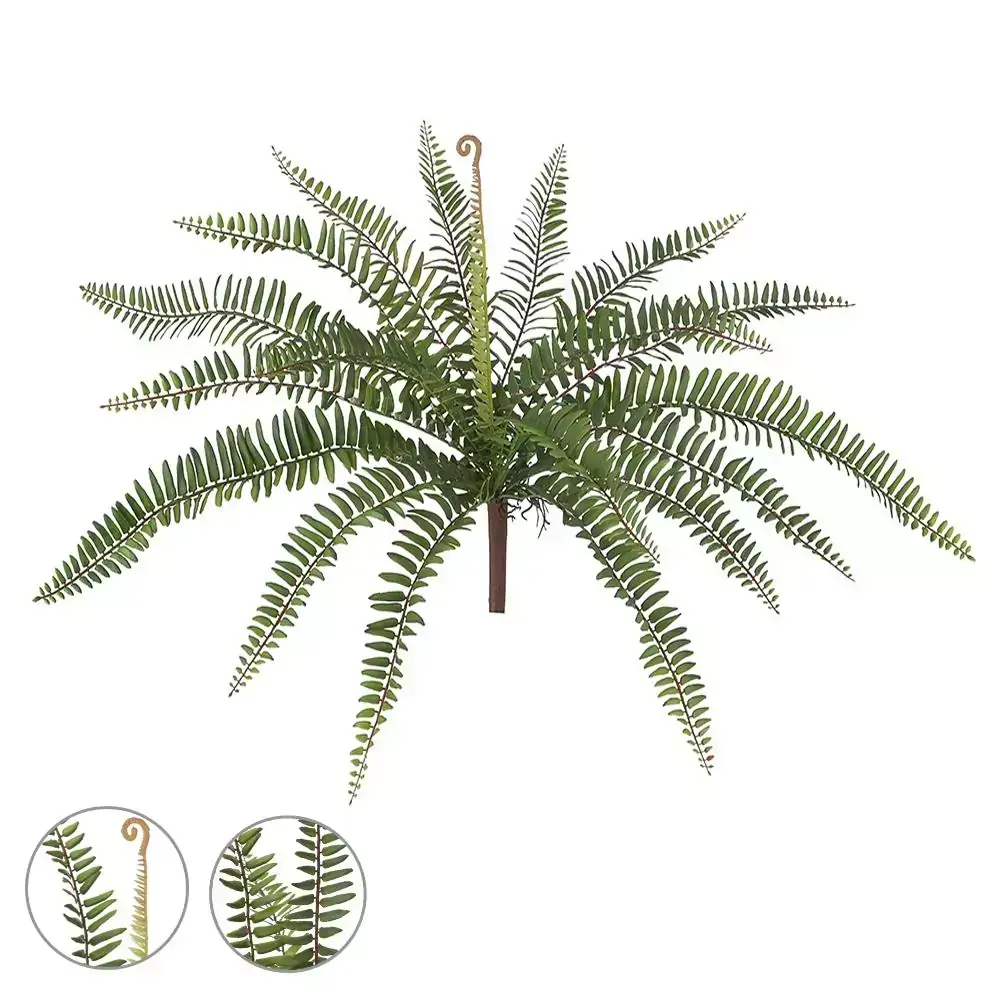 Samambaia Verde 49cm