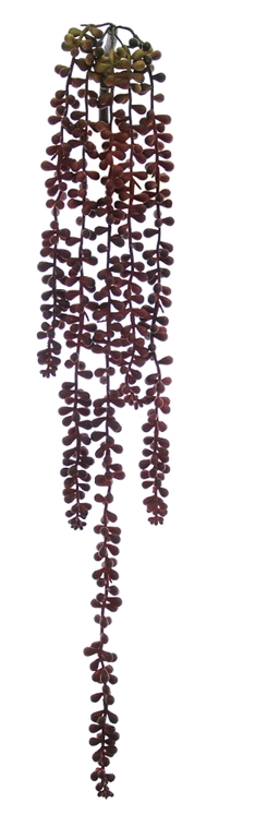 F Suculenta Sedum Pendurar X5 81cm Marrom 39301002 Flor Arte