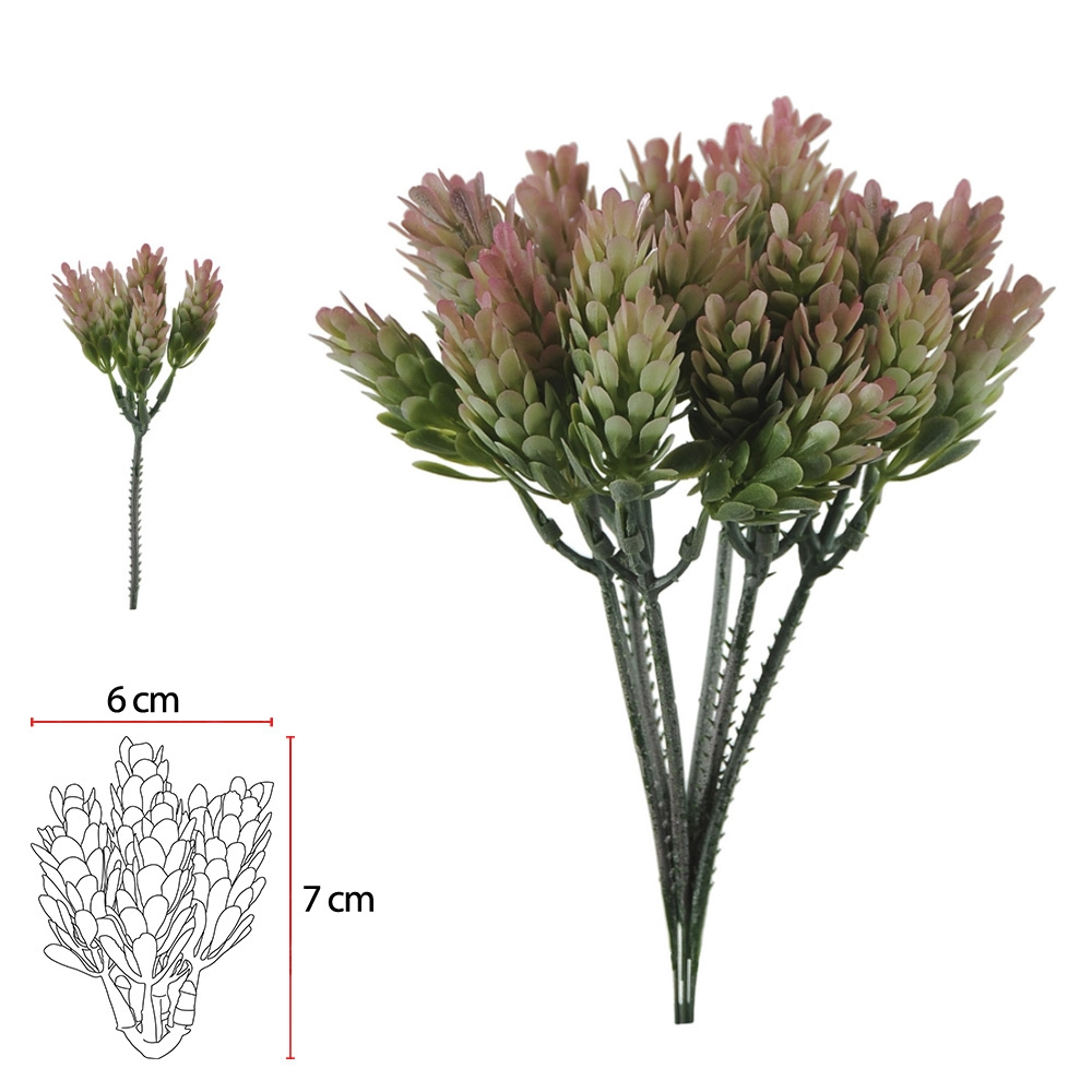 F Pick C Print Plt X5 22cm Verde Rosa C 6pcs 39531002 Flor Arte
