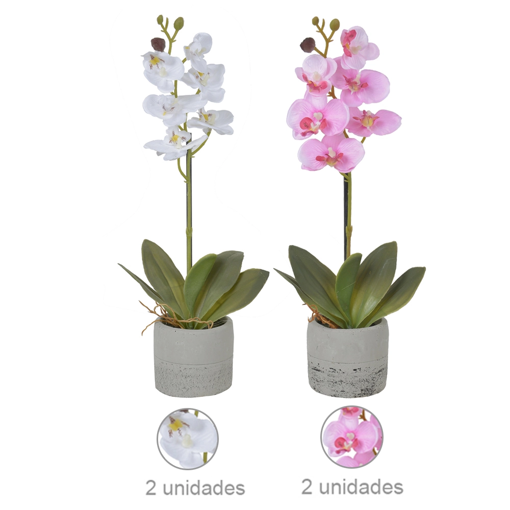 H.orquidea Phalaenopsis Cetim C/vaso X6 Sort 30cm