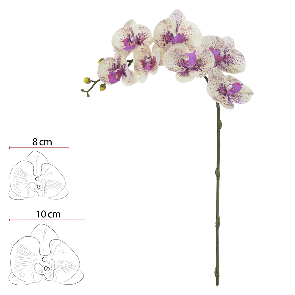 H.orquidea Phalaenopsis Real Toque C/coat X7 Creme Lavanda