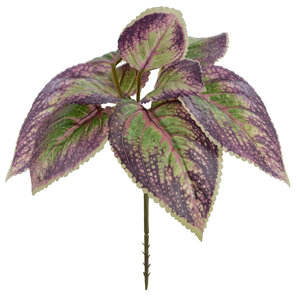 F Coleus Forracao X10 20cm Purpura Verde 41123002 Flor Arte