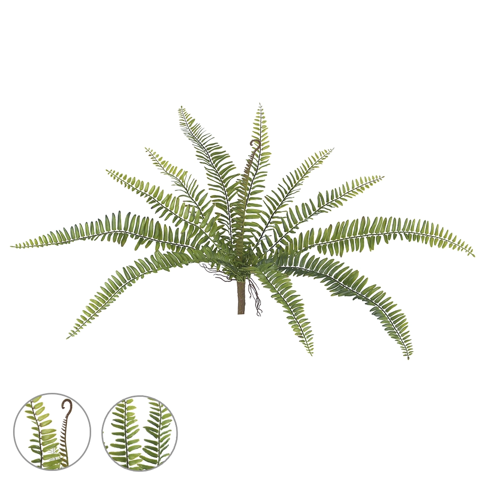 Folhagem Samambaia C Print 12049cm Verde 2t 38994002 Flor Arte