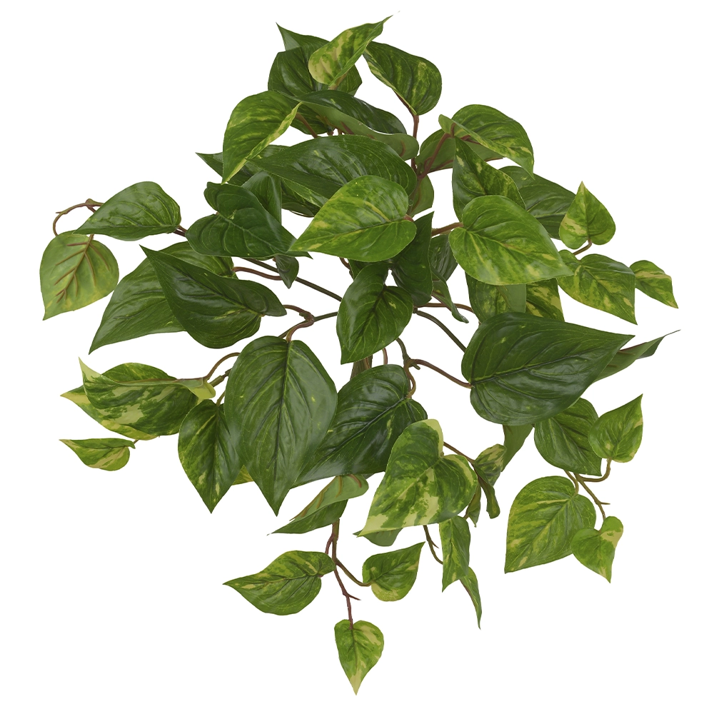 F Jiboia Real Toque X58 30cm Verde Amarelo 41560001 Flor Arte