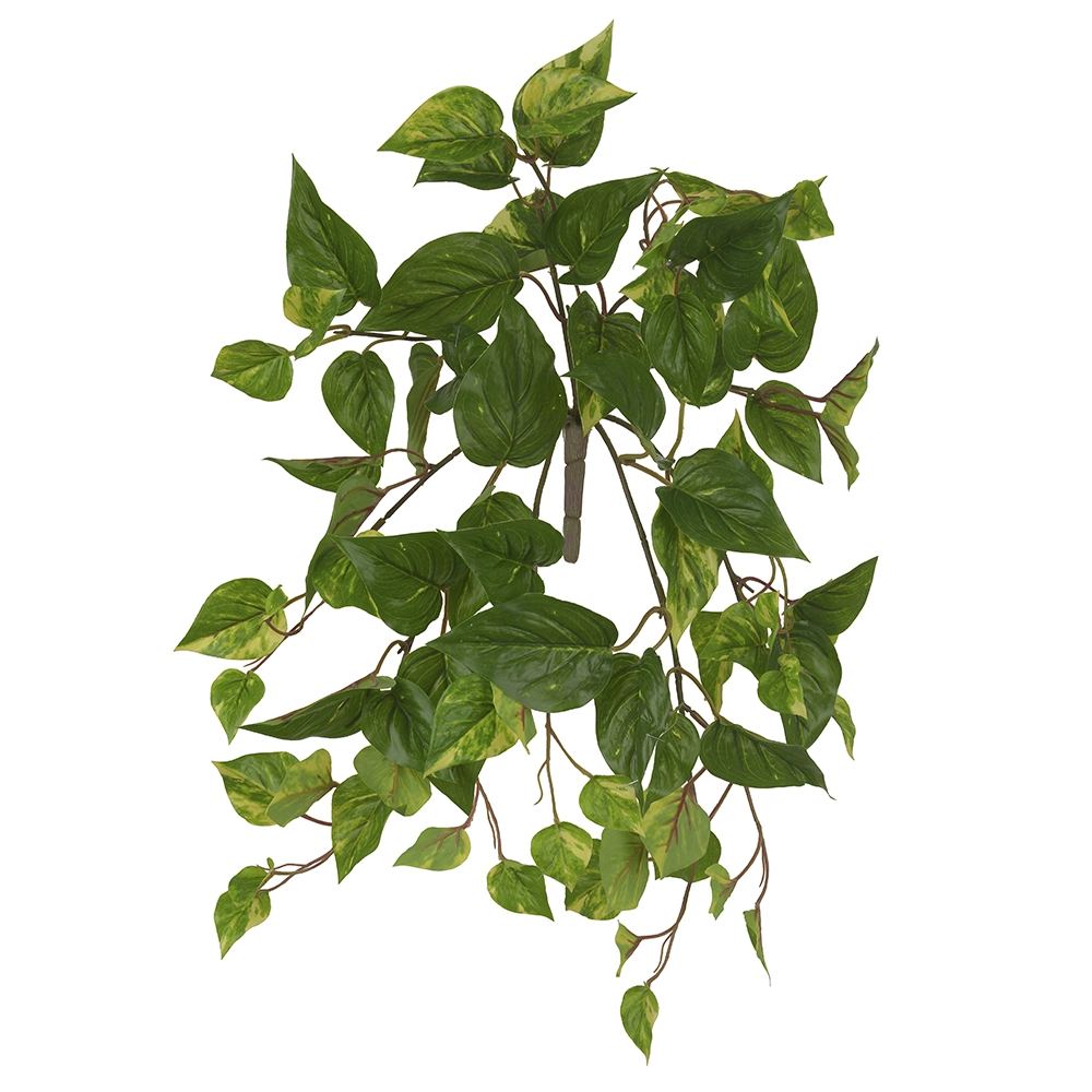 F Jiboia Real Toque X78 50cm Verde Amarelo 41561001 Flor Arte