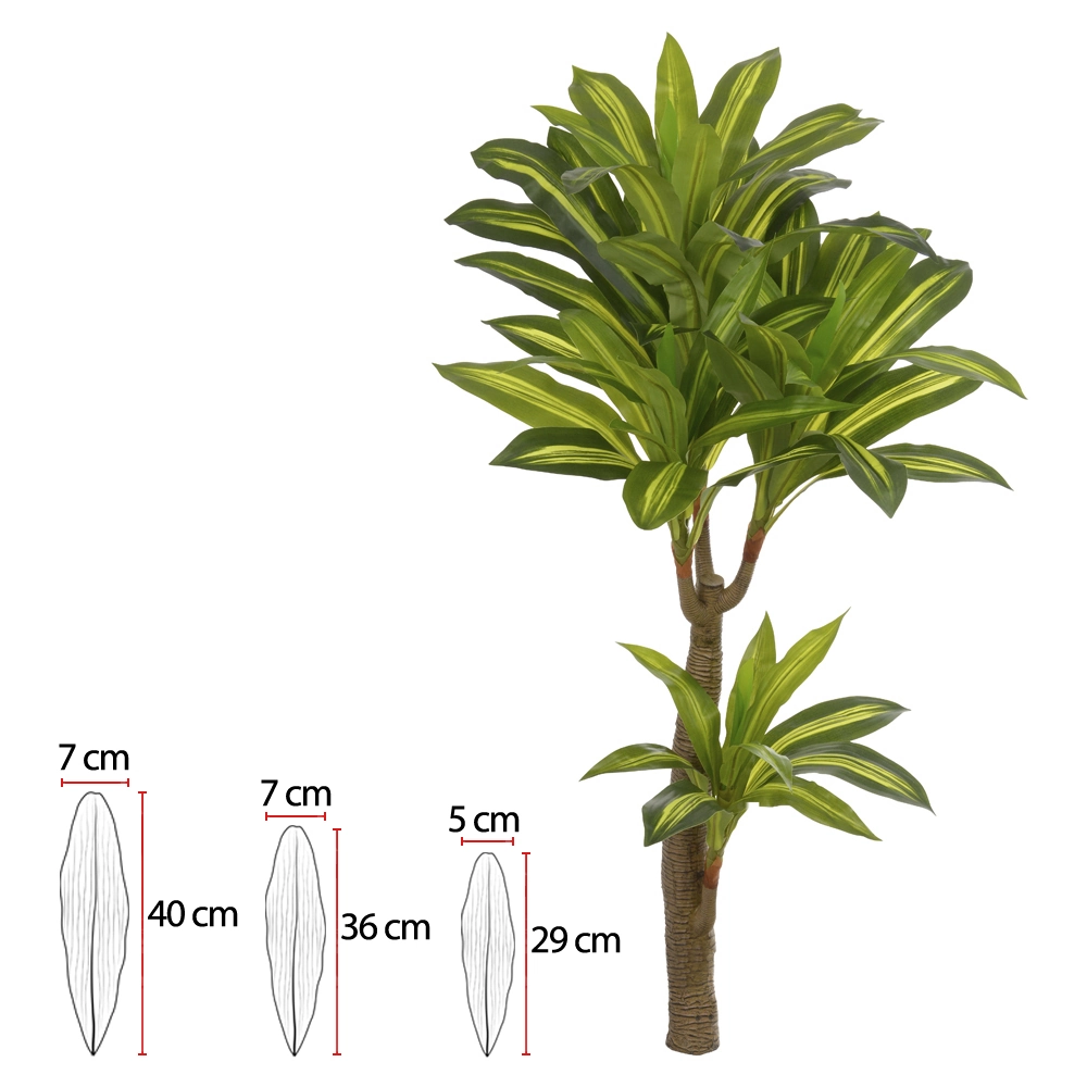 A Dracena Real Toque X61 Verde Creme 1.2m 37470002 Flor Art