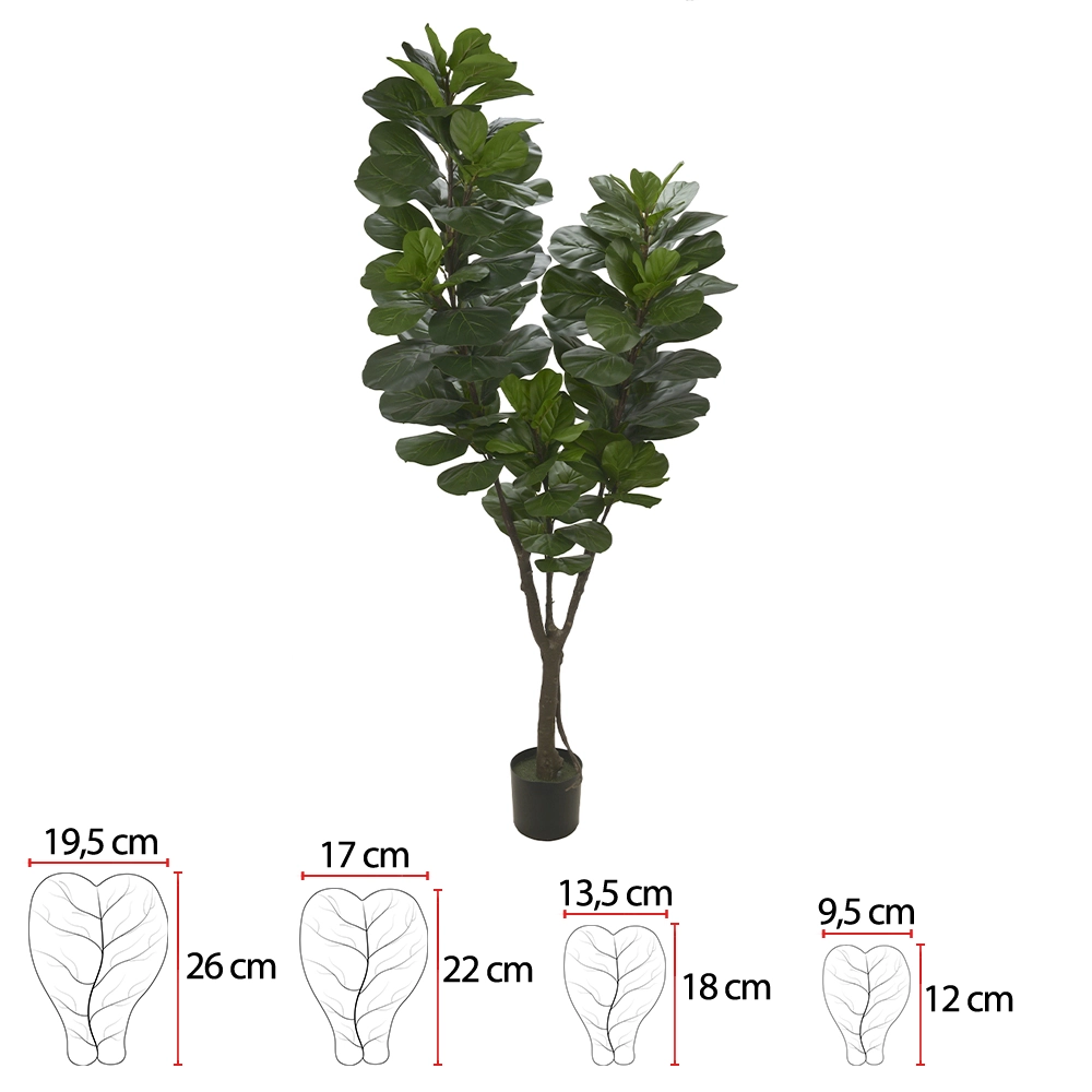 Arvore Ficus Lyrata C Pote X121 Verde 2.1m 41880001 Flor Arte