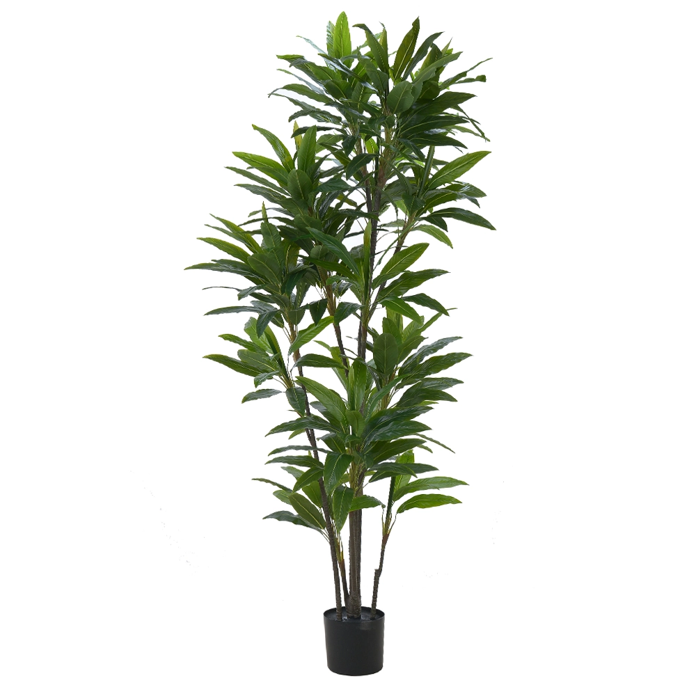 Arvore Dracena Real Toque X238 1.9m Verde 41886001 Dea