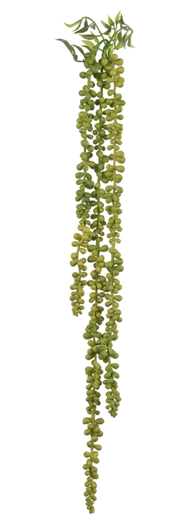 FOLHAGEM SEDUM SUCULENTA PENDURAR X3 (VERDE) 74cm (FLORARTE)