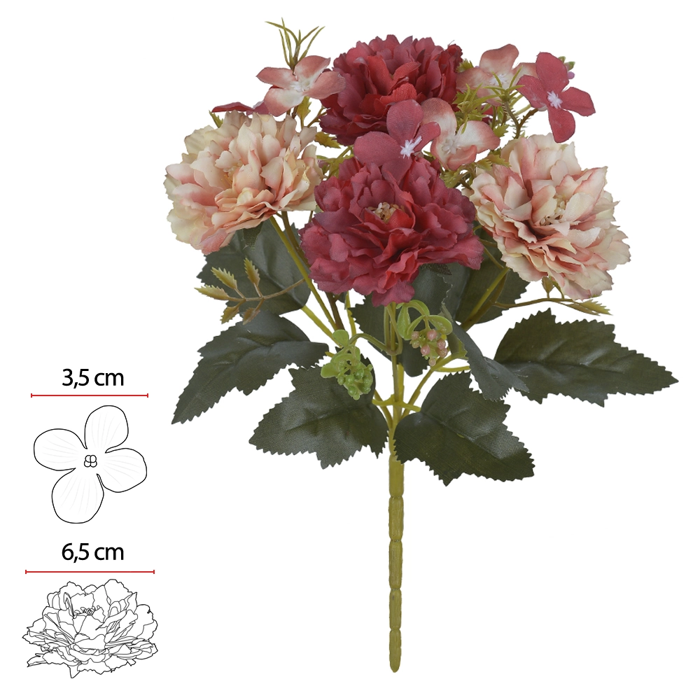 B.cristianemo X5 Marsala Creme