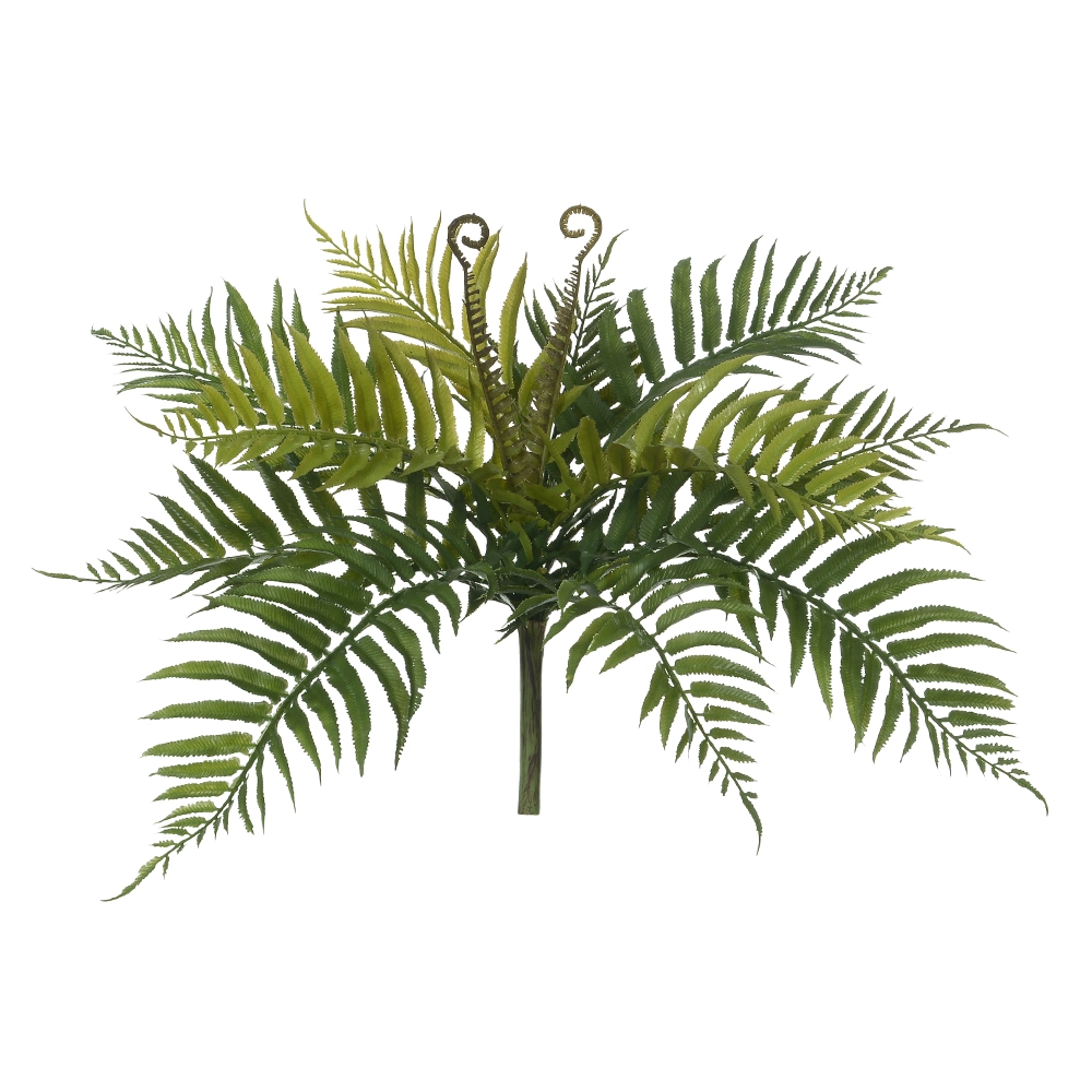 Haste Caladium Mini X90 59cm 10292