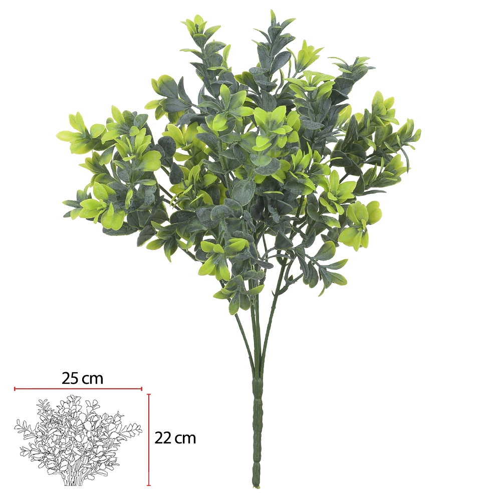 F.buxus Real Toque  X40 Verde