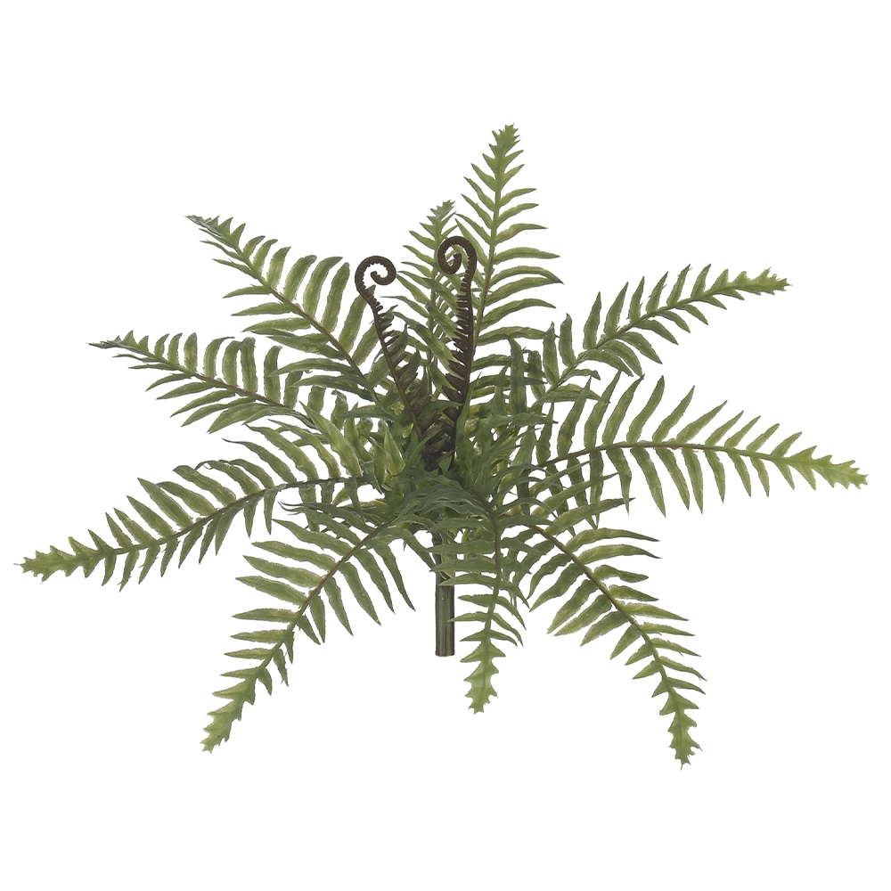 F Samambaia Real Toque C Print X11 27cm Verde 42635001 Flor Arte