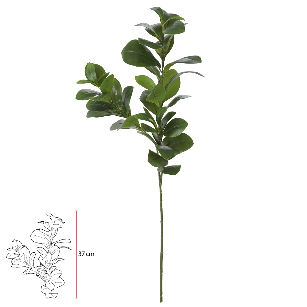 C.folha Clusia Real Toque X47 Verde 74cm 42504001 Flor Arte